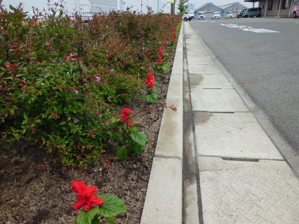 博愛の里こども園佐賀県佐賀市川副町の幼保連携型認定こども園